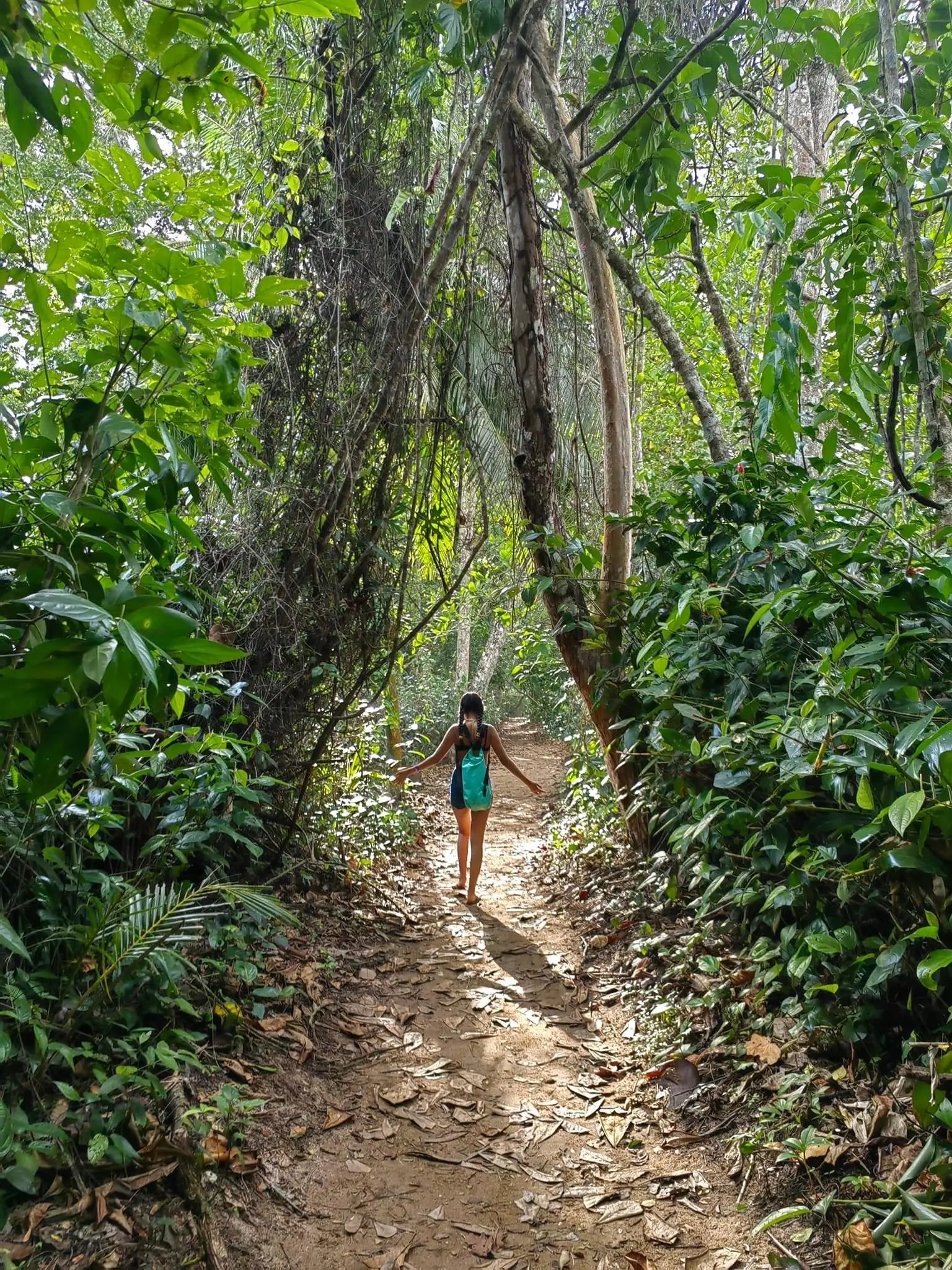 Women Hiking in Cahuita National Park Costa Rica