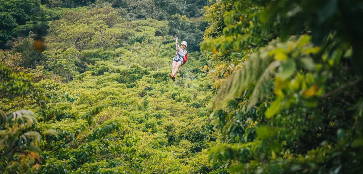 Ziplining in the cloud forest of Monteverde Costa Rica