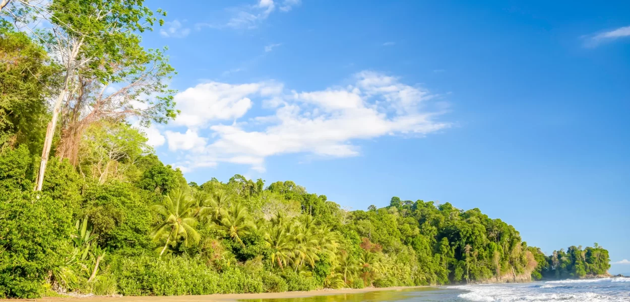 Arco Beach Cusinga Lodge Costa Rica South Pacific