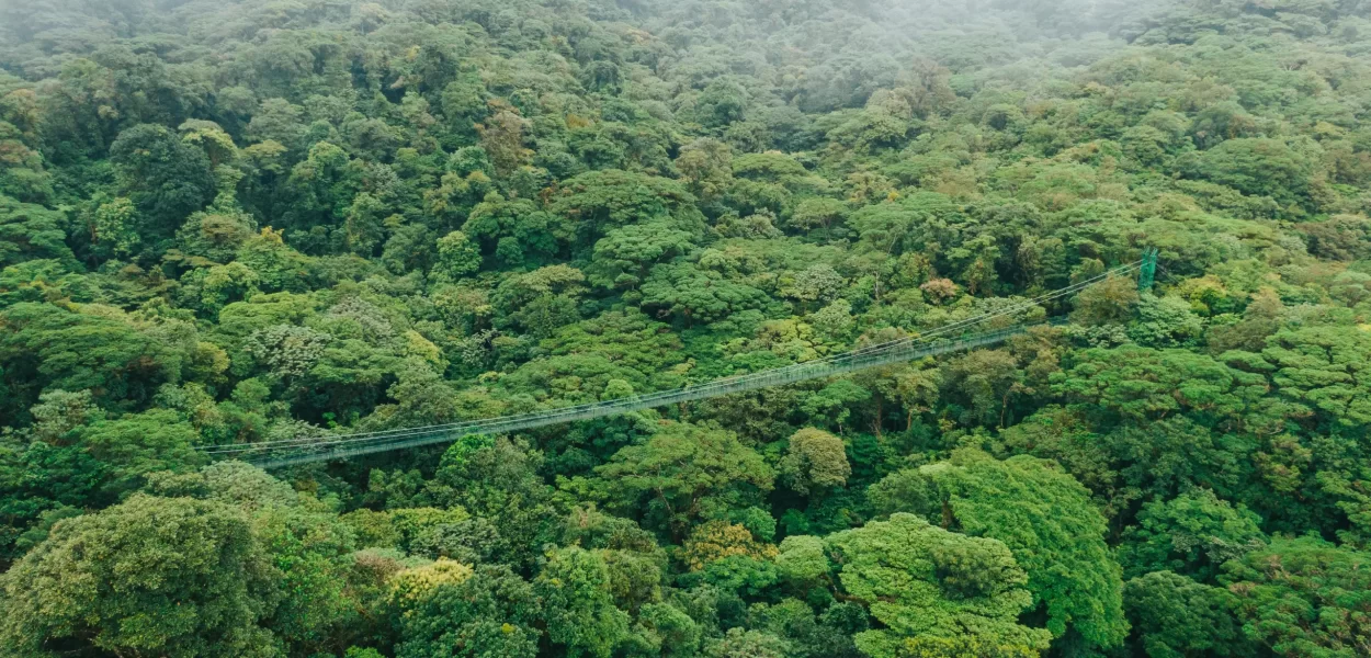 Monteverde Hanging Bridges Cloud Forest Costa Rica