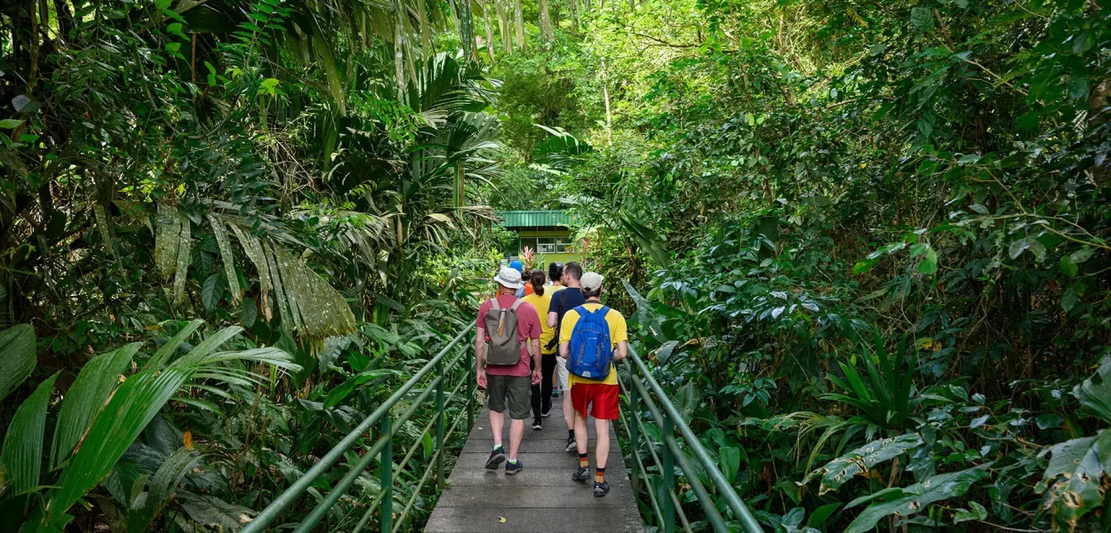 Tortuguero Hike Costa Rica