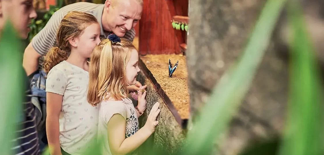 Kids watching butterflies in Costa Rica